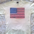 American Lesion -T-Shirt - Front (1231x947)