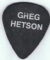Guitar Pick - Greg Hetson Warped 2002 - No title (209x252)