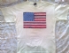 American Lesion -T-Shirt - Front (1231x947)
