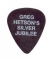 Guitar Pick - Greg Hetson