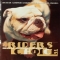 Riders Choice - Front (1008x1000)
