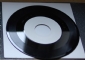 Jello Biafra with Bad Religion - Vinyl (736x522)